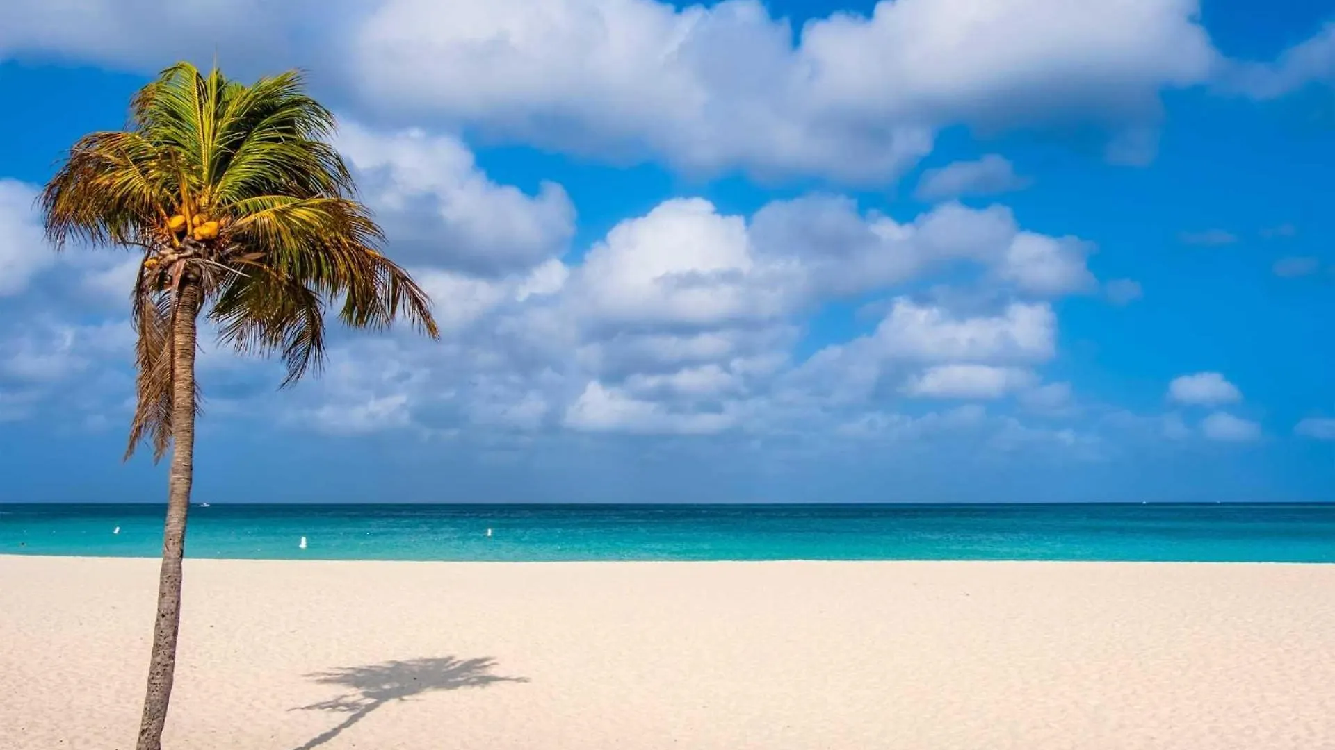 Beachfront - Emerald View 2Br Condo - P416 Palm Beach Сasa de vacaciones