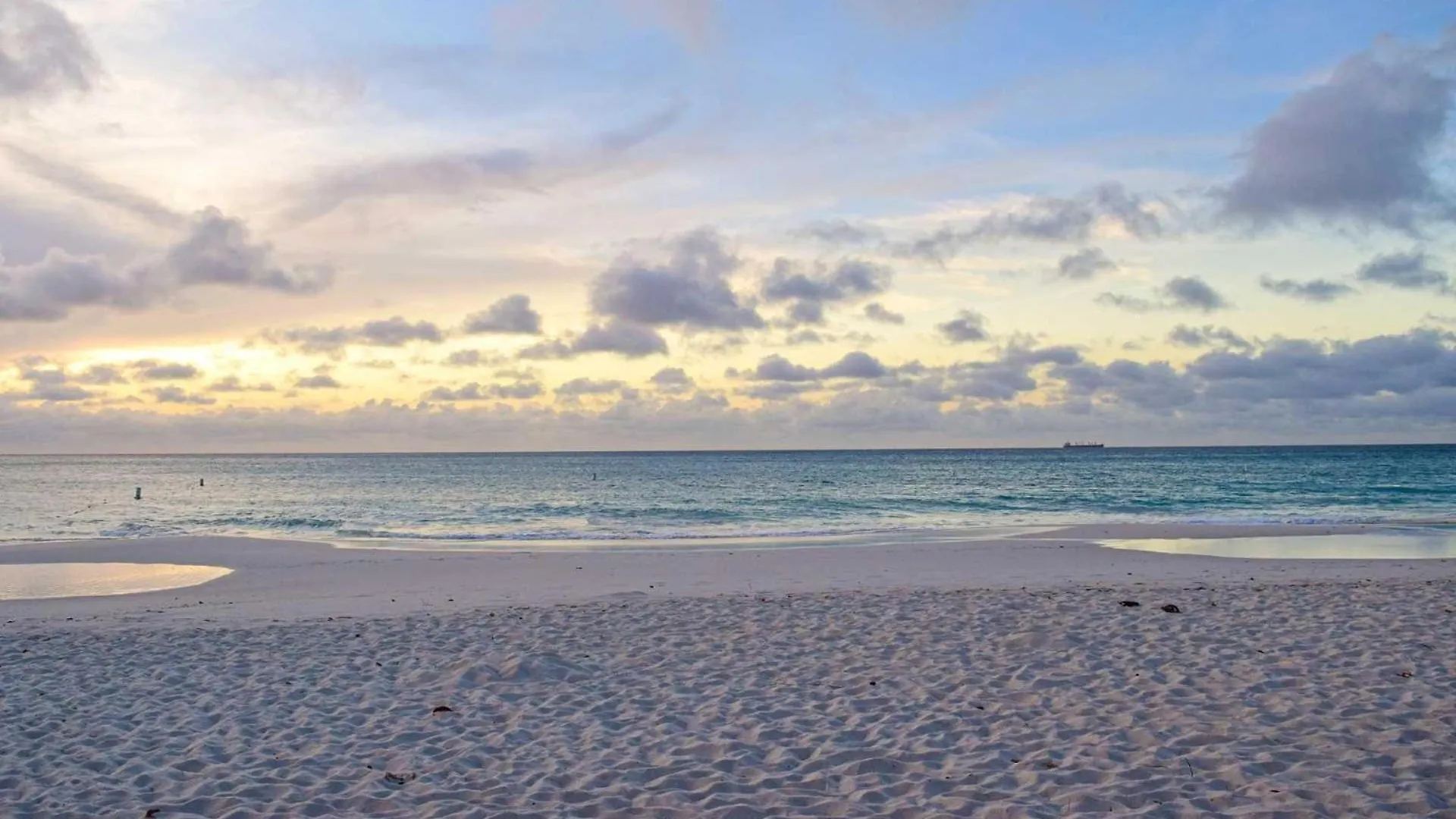 Beachfront - Emerald View 2Br Condo - P416 Palm Beach Aruba