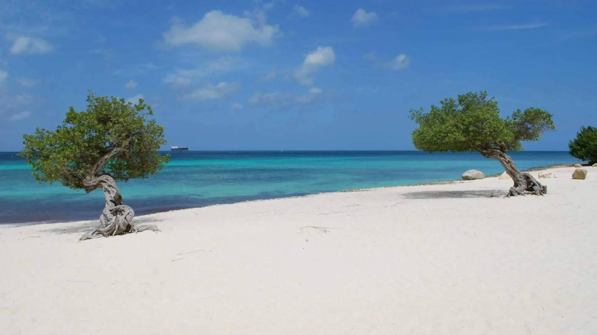 Beachfront - Emerald View 2Br Condo - P416 Palm Beach Aruba