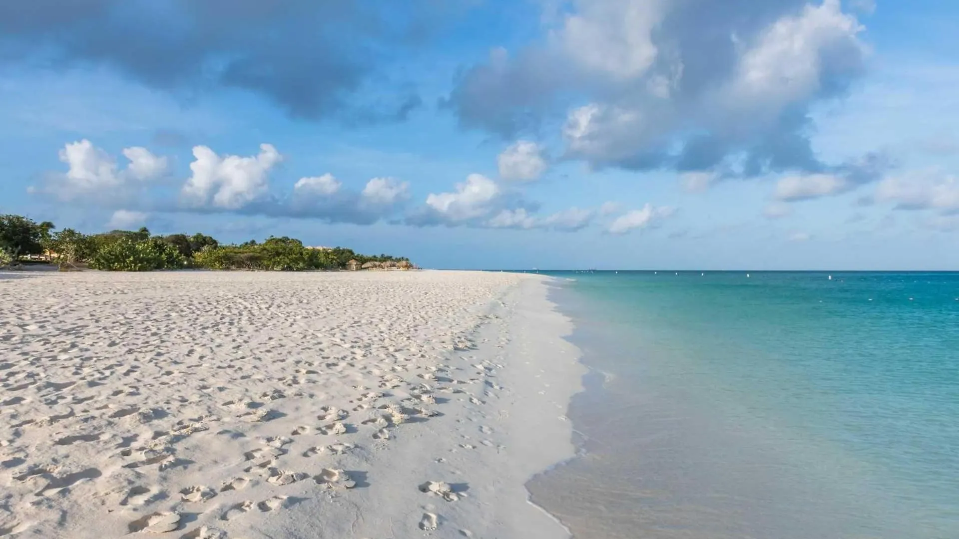 Beachfront - Emerald View 2Br Condo - P416 Palm Beach 0*,  Aruba