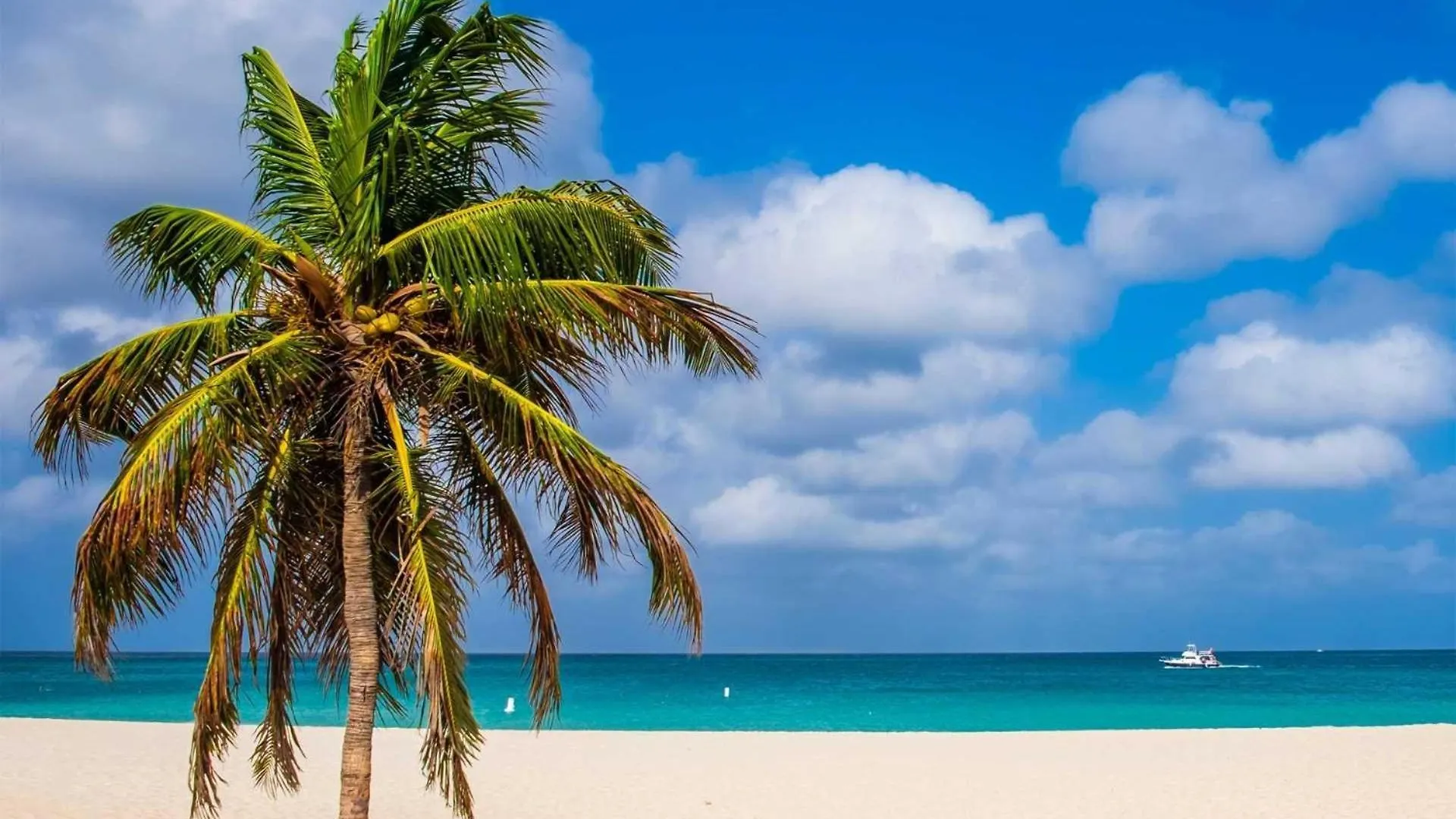Beachfront - Emerald View 2Br Condo - P416 Palm Beach 0*,